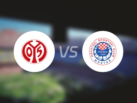 【欧协联】美因茨vs日林斯基比赛结果：美因茨(1-0)日林斯基比分战报(2025年10月24日)