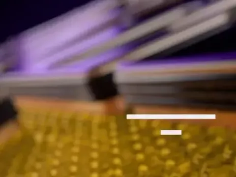 【全场回放】 湖人vs森林狼 (李天宇、陈正昊、王羽希)