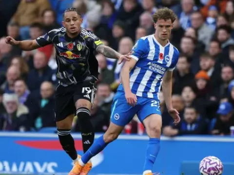 【全场回放】 布莱顿vs利兹联 (苗锟)