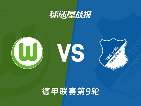 【德甲】沃尔夫斯堡vs霍芬海姆比赛结果：沃尔夫斯堡(2-3)霍芬海姆比分战报(2025年11月03日)