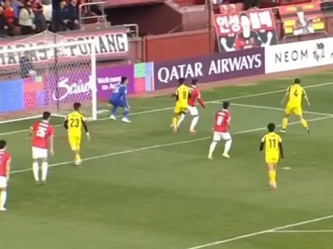 浦项铁人vs淡滨尼流浪者回放录像【2025年11月06日】