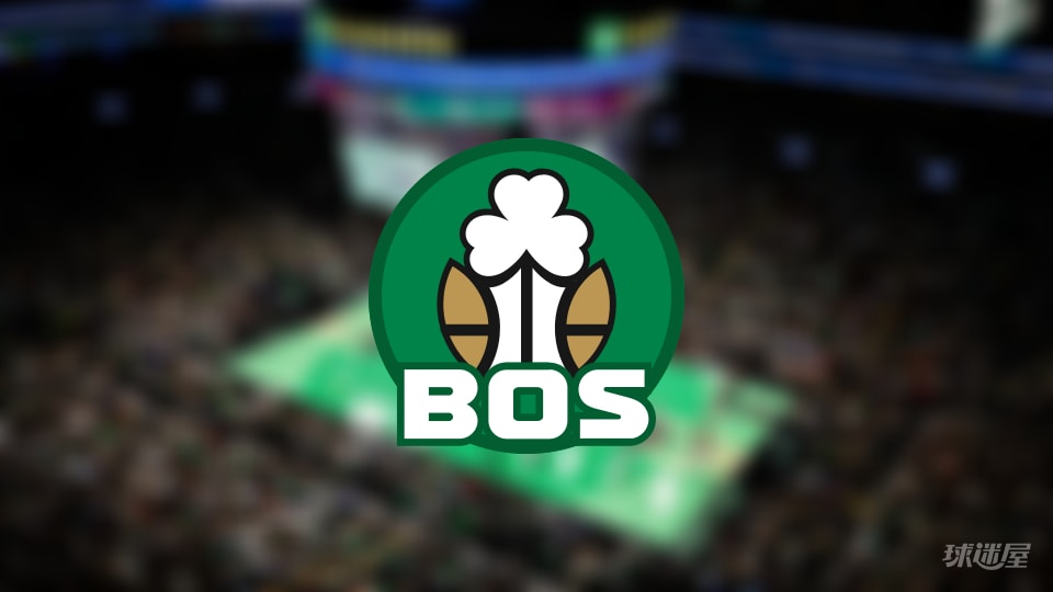 凯尔特人伤病报告：蒂尔曼因个人受伤无法出场(2025年11月08日)