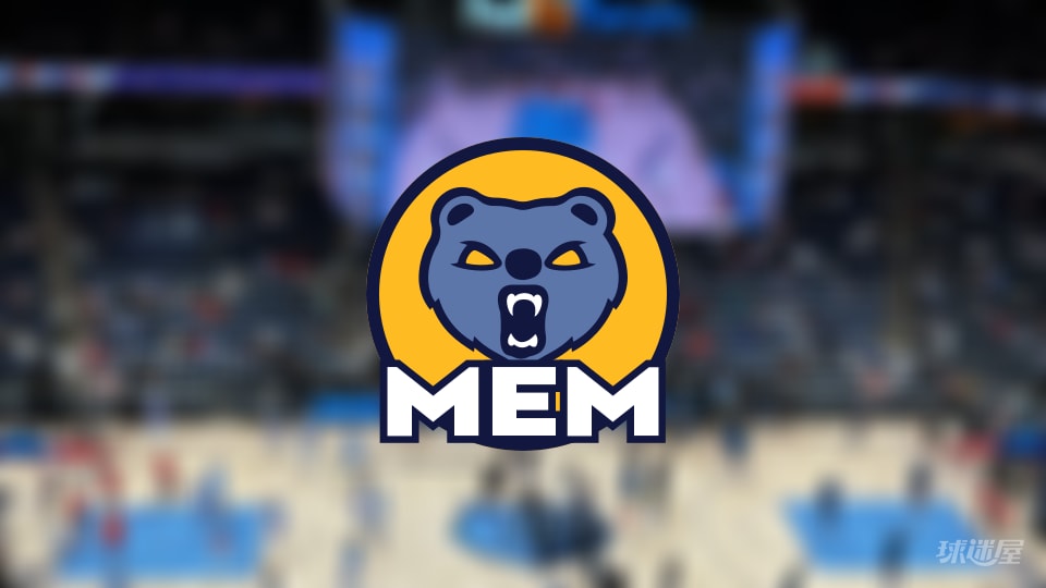 灰熊伤病报告：埃迪因脚踝受伤无法出场(2025年11月08日)