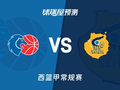 西篮甲比赛前瞻：卢戈vs大加那利预测分析(2025年11月09日)
