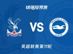 英超比赛前瞻：水晶宫vs布莱顿预测分析(2025年11月09日)