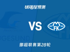 挪超比赛前瞻：海于格松vs莫尔德预测分析(2025年11月10日)