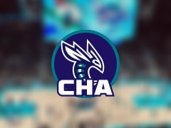 黄蜂伤病报告：鲍尔因脚踝受伤无法出场(2025年11月11日)