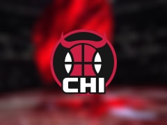 公牛伤病报告：吉迪因脚踝受伤出战成疑(2025年11月13日)