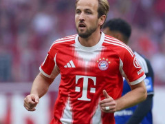 世体：巴萨对于外界谈到要引进凯恩的传闻进行了辟谣