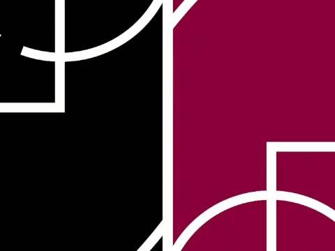 [微博全场集锦]🏀猛龙击败骑士 巴恩斯28+10+8 奎克利25+6 米切尔31+6+6