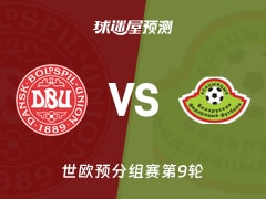 世欧预比赛前瞻：丹麦vs白俄罗斯预测分析(2025年11月16日)