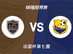 法国杯比赛前瞻：塞西奈vs欧巴涅预测分析(2025年11月16日)