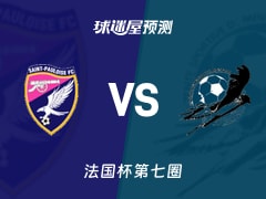 法国杯比赛前瞻：圣保洛斯vs多米尼加预测分析(2025年11月16日)
