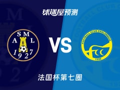 法国杯比赛前瞻：蒙特利尔拉克鲁斯vs索恩河畔沙隆预测分析(2025年11月16日)