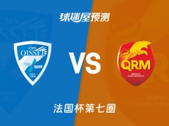 法国杯比赛前瞻：瓦塞勒vs奎维利预测分析(2025年11月16日)