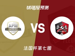法国杯比赛前瞻：APM梅斯vs弗勒里梅洛吉斯预测分析(2025年11月16日)