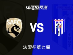 法国杯比赛前瞻：圣阿曼德vs迪艾比预测分析(2025年11月16日)