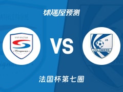 法国杯比赛前瞻：SA梅里尼卡斯vs哥洛米亚斯预测分析(2025年11月16日)