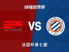 法国杯比赛前瞻：阿格德vs蒙彼利埃预测分析(2025年11月16日)