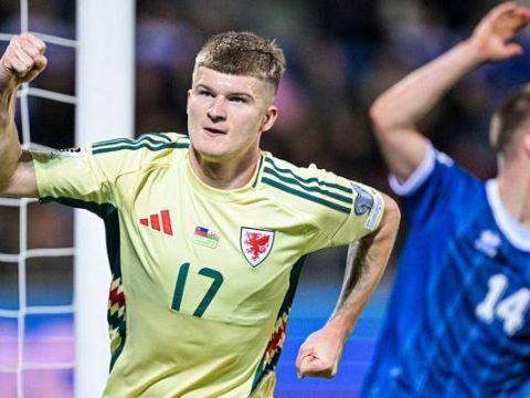 [爱奇艺全场集锦] 世预赛-乔丹-詹姆斯制胜 威尔士1-0列支敦士登居小组第3