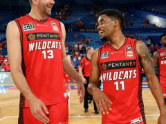 澳大利亚NBL前瞻|珀斯野猫vs塔斯马尼亚跳伞蚁预测分析 五六名对决