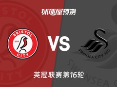 英冠比赛前瞻：布里斯托尔城vs斯旺西预测分析(2025年11月22日)