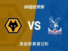 英超比赛前瞻：狼队vs水晶宫预测分析(2025年11月22日)