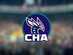 黄蜂伤病报告：曼恩因脚踝受伤无法出场(2025年11月24日)