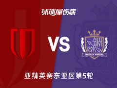 【亚精英赛】成都蓉城vs广岛三箭伤病名单最新(2025年11月25日)