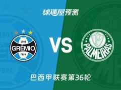 巴西甲比赛前瞻：格雷米奥vs帕尔梅拉斯预测分析(2025年11月26日)