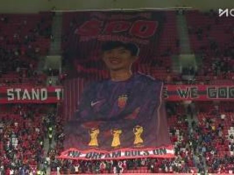 [致敬老将] 海港赛前巨型TIFO致敬颜骏凌