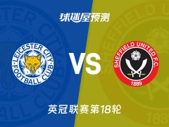 英冠比赛前瞻：莱斯特城vs谢菲联预测分析(2025年11月29日)