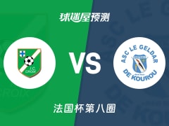 法国杯比赛前瞻：艾瑞斯十字会vs戈达库鲁预测分析(2025年11月29日)