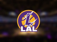 湖人伤病报告：艾顿因膝盖受伤出战成疑(2025年11月29日)