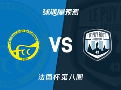 法国杯比赛前瞻：索恩河畔沙隆vs勒皮预测分析(2025年11月30日)