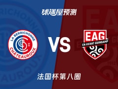 法国杯比赛前瞻：贡蒂耶古城堡vs甘冈预测分析(2025年11月30日)