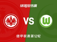 【德甲】法兰克福vs沃尔夫斯堡伤病名单最新(2025年12月01日)