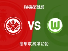 【德甲】法兰克福vs沃尔夫斯堡首发阵容名单(2025年12月01日)
