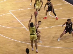 新西兰vs澳大利亚回放录像【2025年12月01日】