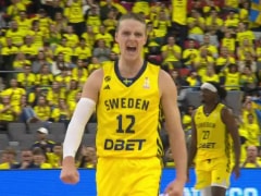 瑞典vs斯洛文尼亚回放录像【2025年12月02日】