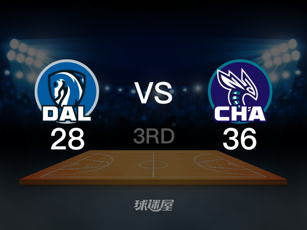 【2024年04月10日】独行侠vs黄蜂第3节回放