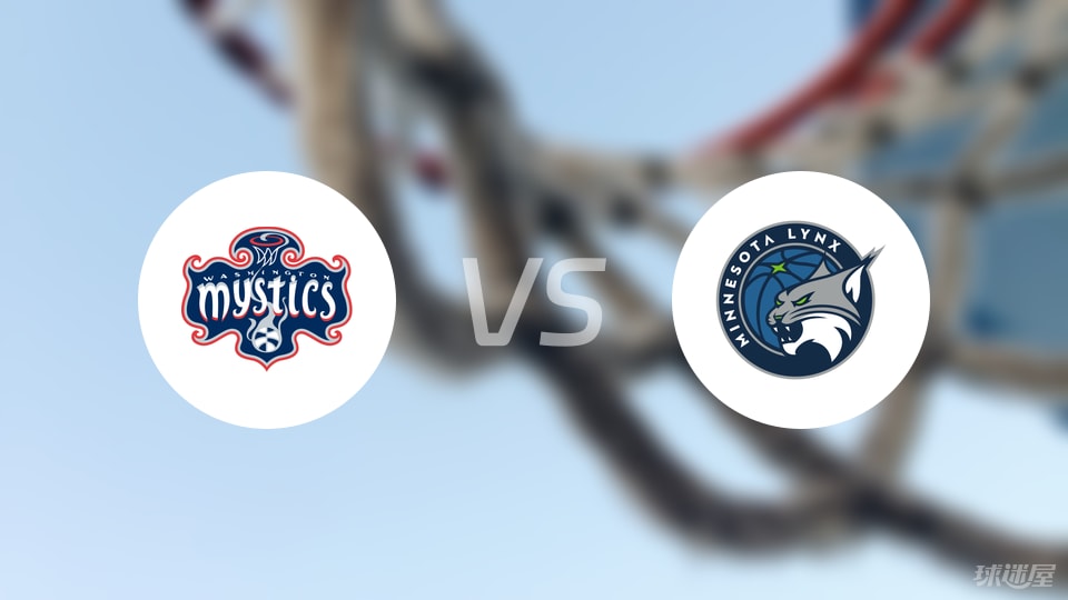 神秘人vs山猫回放