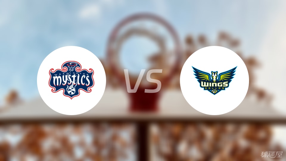 神秘人vs飞翼回放