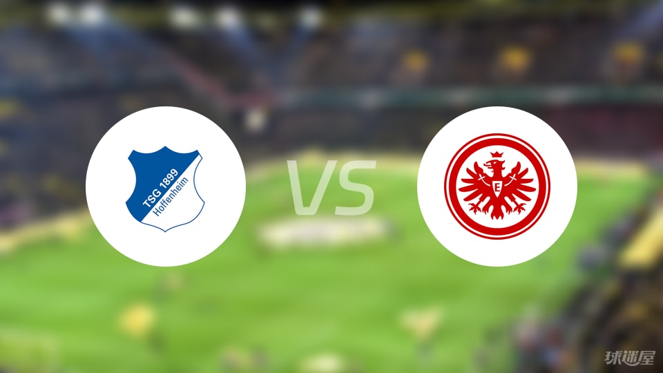 霍芬海姆vs法兰克福回放