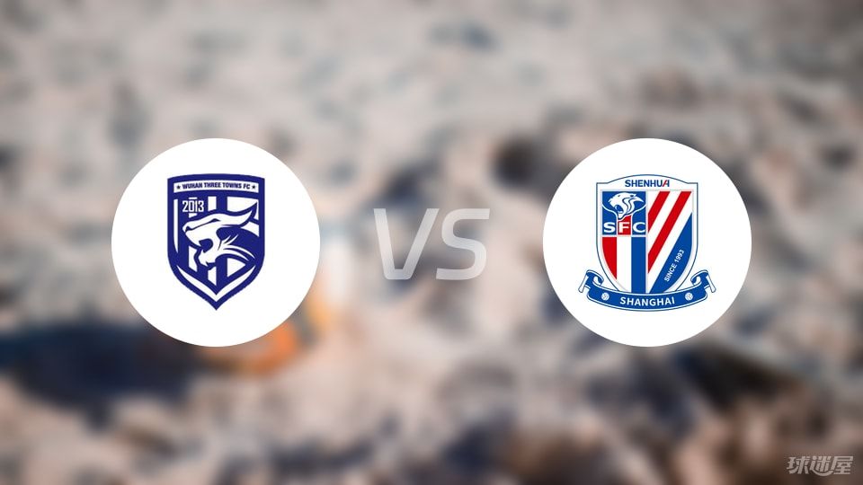 武汉三镇vs上海申花回放