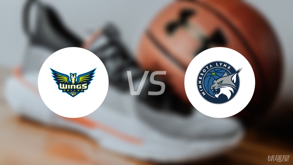 飞翼vs山猫回放