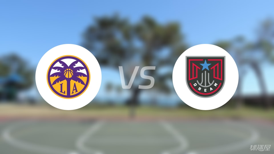 火花vs梦想伤病