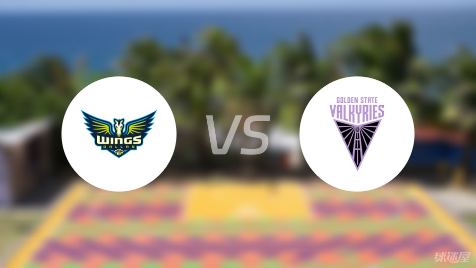 飞翼vs女武神回放