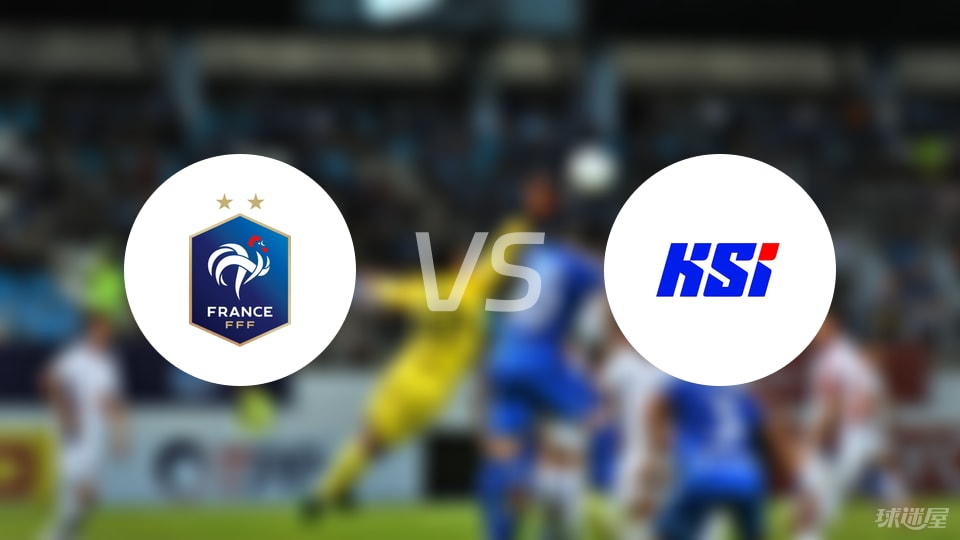 法国vs冰岛伤病