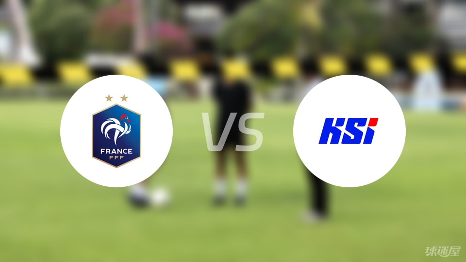 法国vs冰岛比赛结果